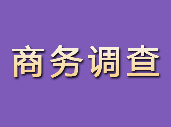 乐安商务调查